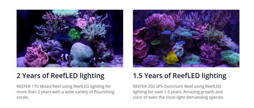Red Sea ReedfLED Lighting